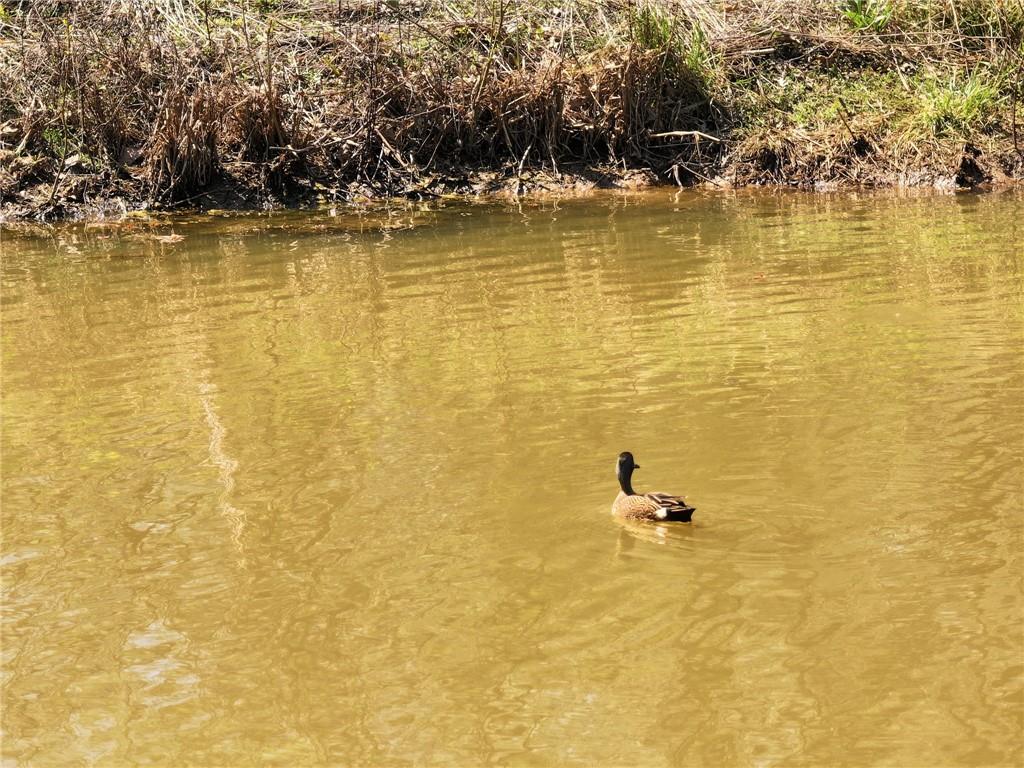 105 Southeast 40th Road Lamar, MO 64759 - Photo 58 of 62