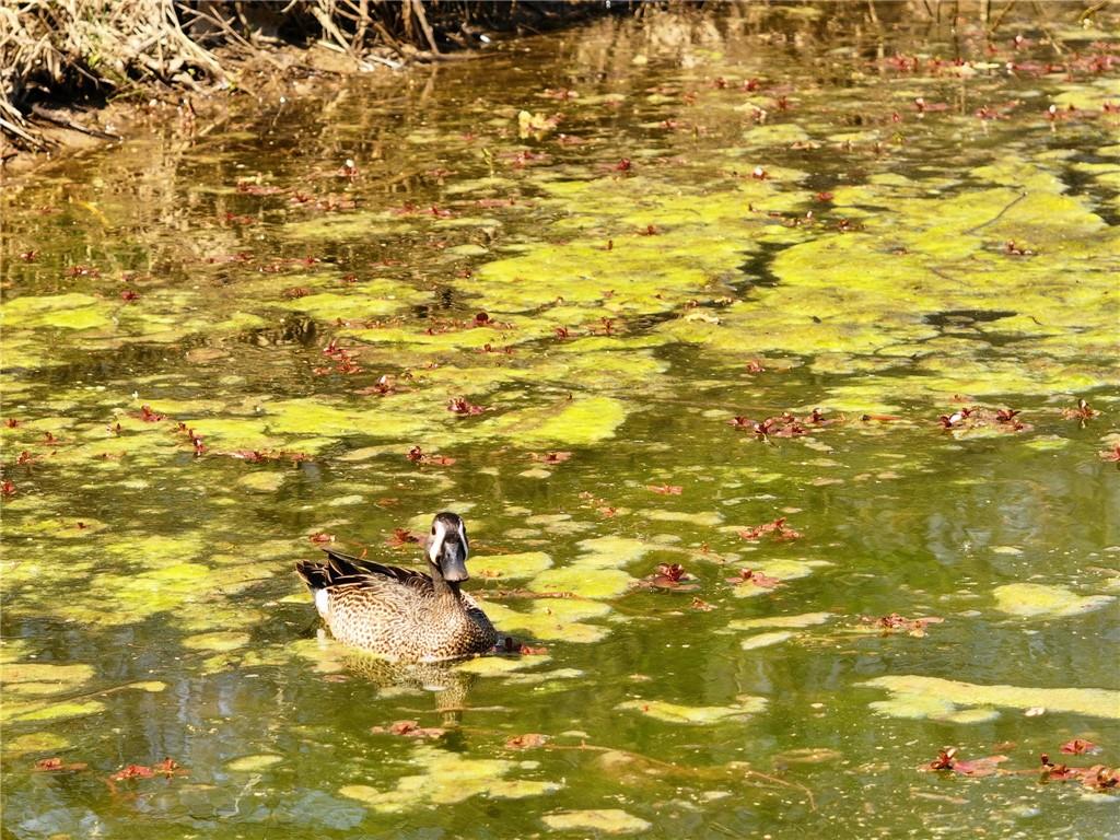 105 Southeast 40th Road Lamar, MO 64759 - Photo 61 of 62