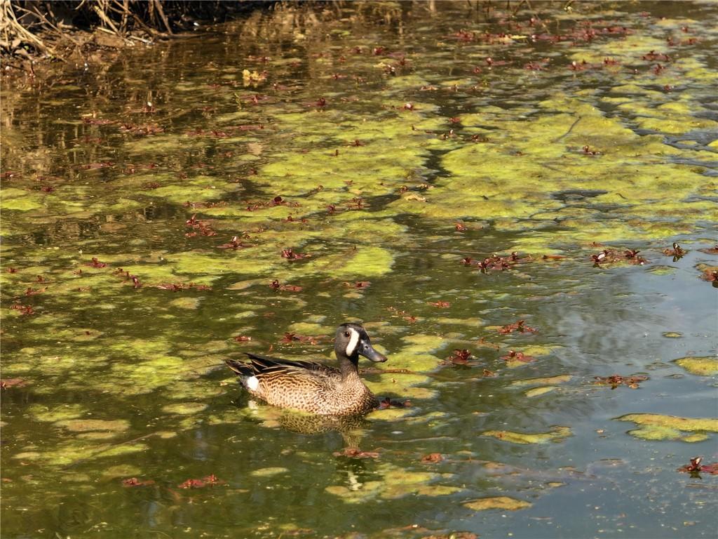 105 Southeast 40th Road Lamar, MO 64759 - Photo 62 of 62