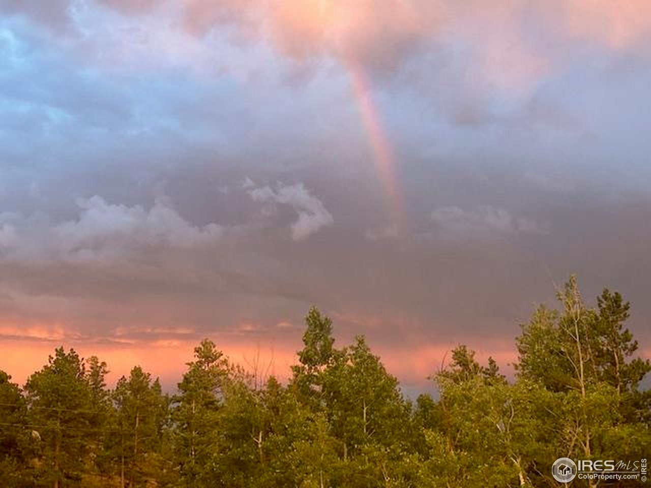 62 Spokane Court Red Feather Lakes, CO 80545 - Photo 36 of 38 a view of a yard