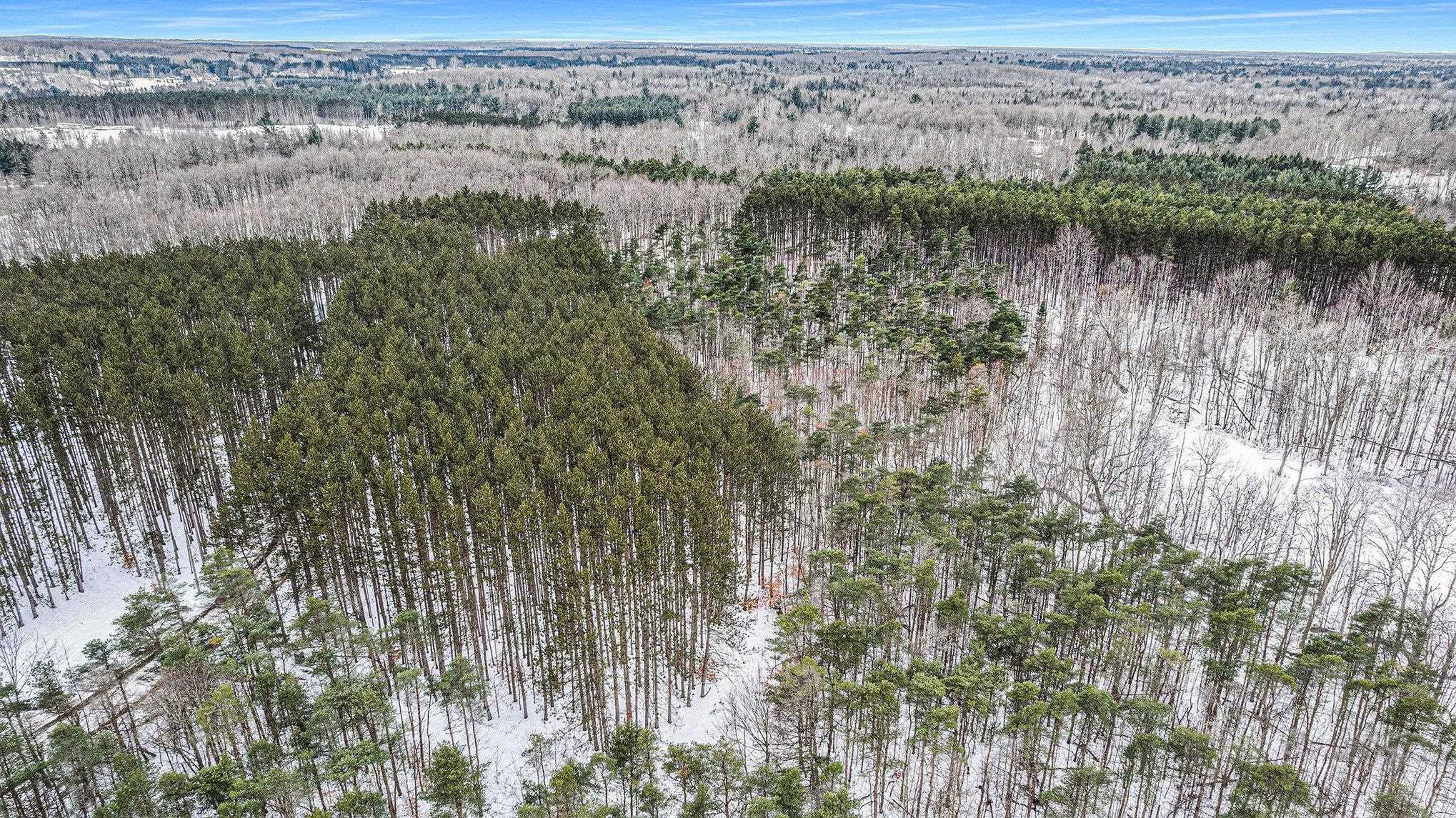 5 D Preston Road Northeast Kalkaska, MI 49646 - Photo 5 of 6