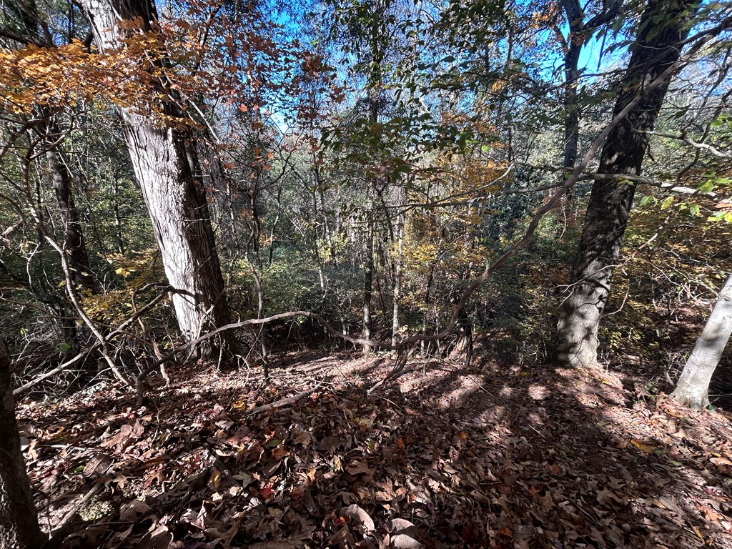 62/ Cty Road Coleman, GA 39836 - Photo 22 of 58