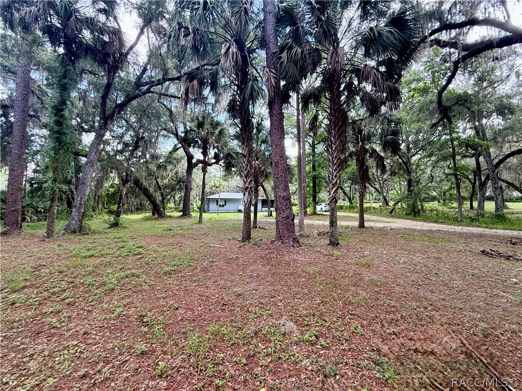 271 Hudson Street Inglis, FL 34449 - Photo 2 of 45