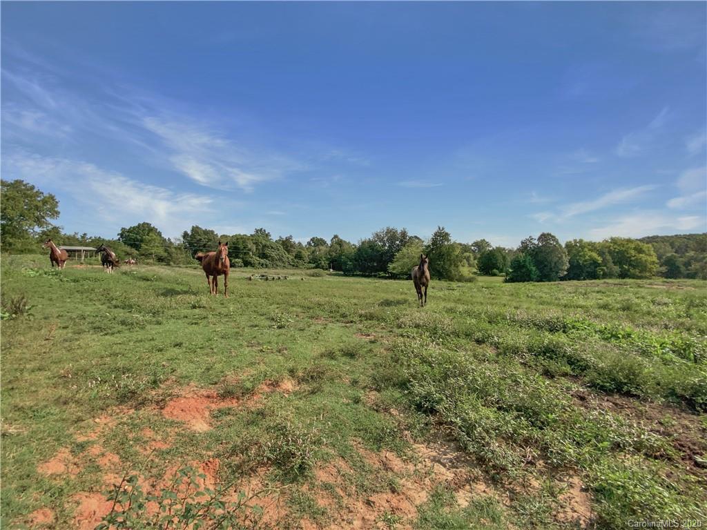4155 Needmore Road Woodleaf, NC 27054 - Photo 23 of 48 Gallery Image 23