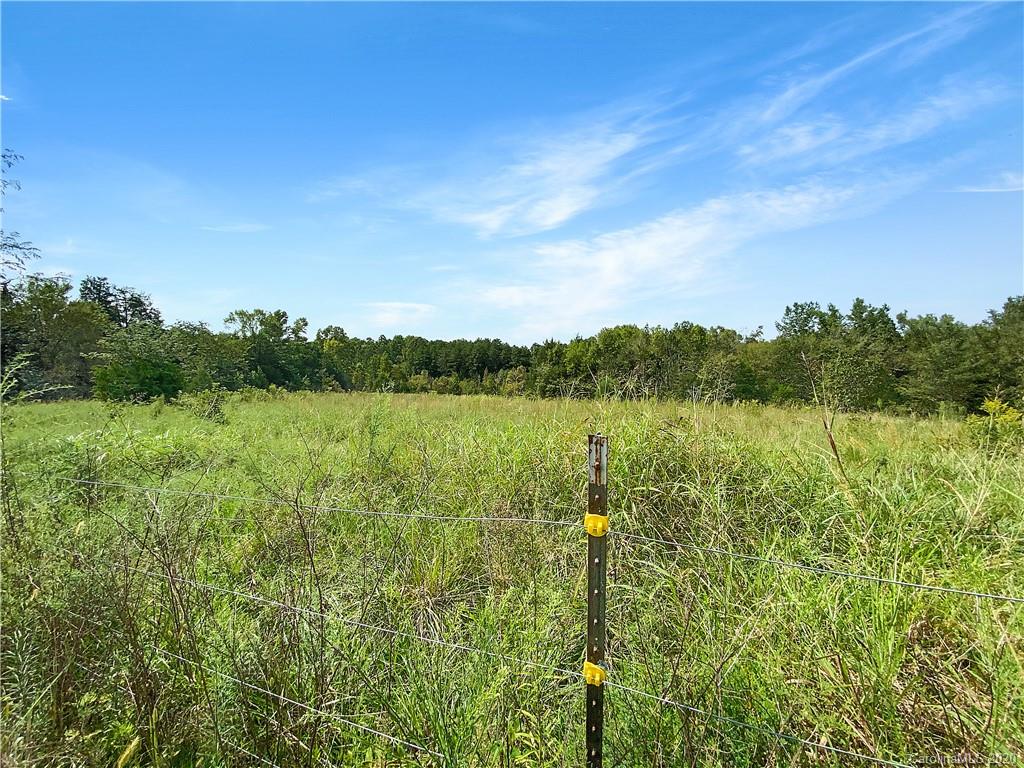 4155 Needmore Road Woodleaf, NC 27054 - Photo 4 of 48 Gallery Image 4