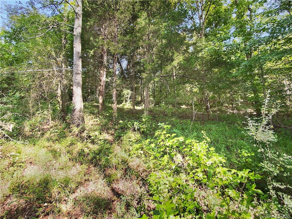 4155 Needmore Road Woodleaf, NC 27054 - Photo 45 of 48 Gallery Image 45
