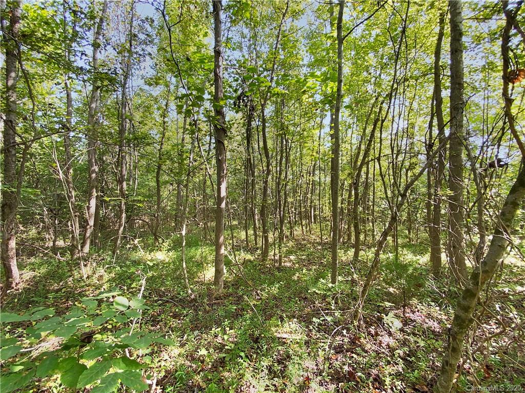 4155 Needmore Road Woodleaf, NC 27054 - Photo 46 of 48 Gallery Image 46