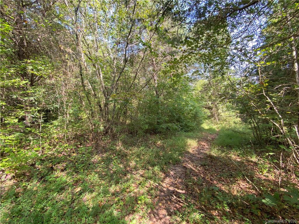 4155 Needmore Road Woodleaf, NC 27054 - Photo 47 of 48 Gallery Image 47