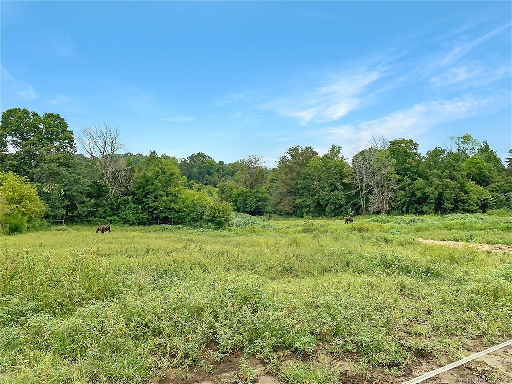 4155 Needmore Road Woodleaf, NC 27054 - Photo 6 of 48 Gallery Image 6