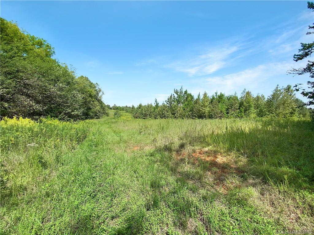 4155 Needmore Road Woodleaf, NC 27054 - Photo 7 of 48 Gallery Image 7