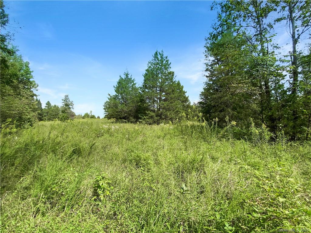 4155 Needmore Road Woodleaf, NC 27054 - Photo 9 of 48 Gallery Image 9