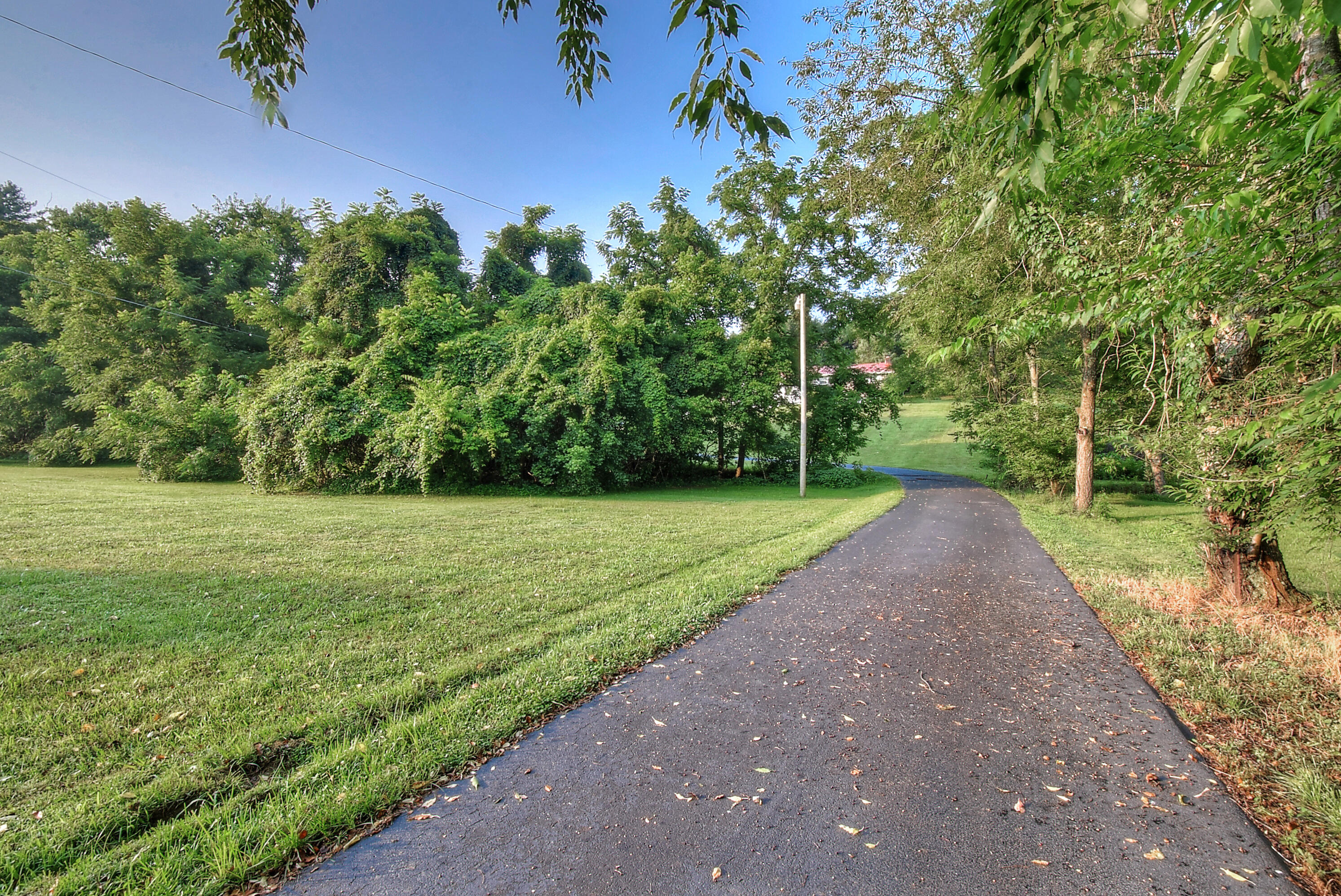 251 Hall Road Jonesborough, TN 37659 - Photo 3 of 41 Winding Driveway