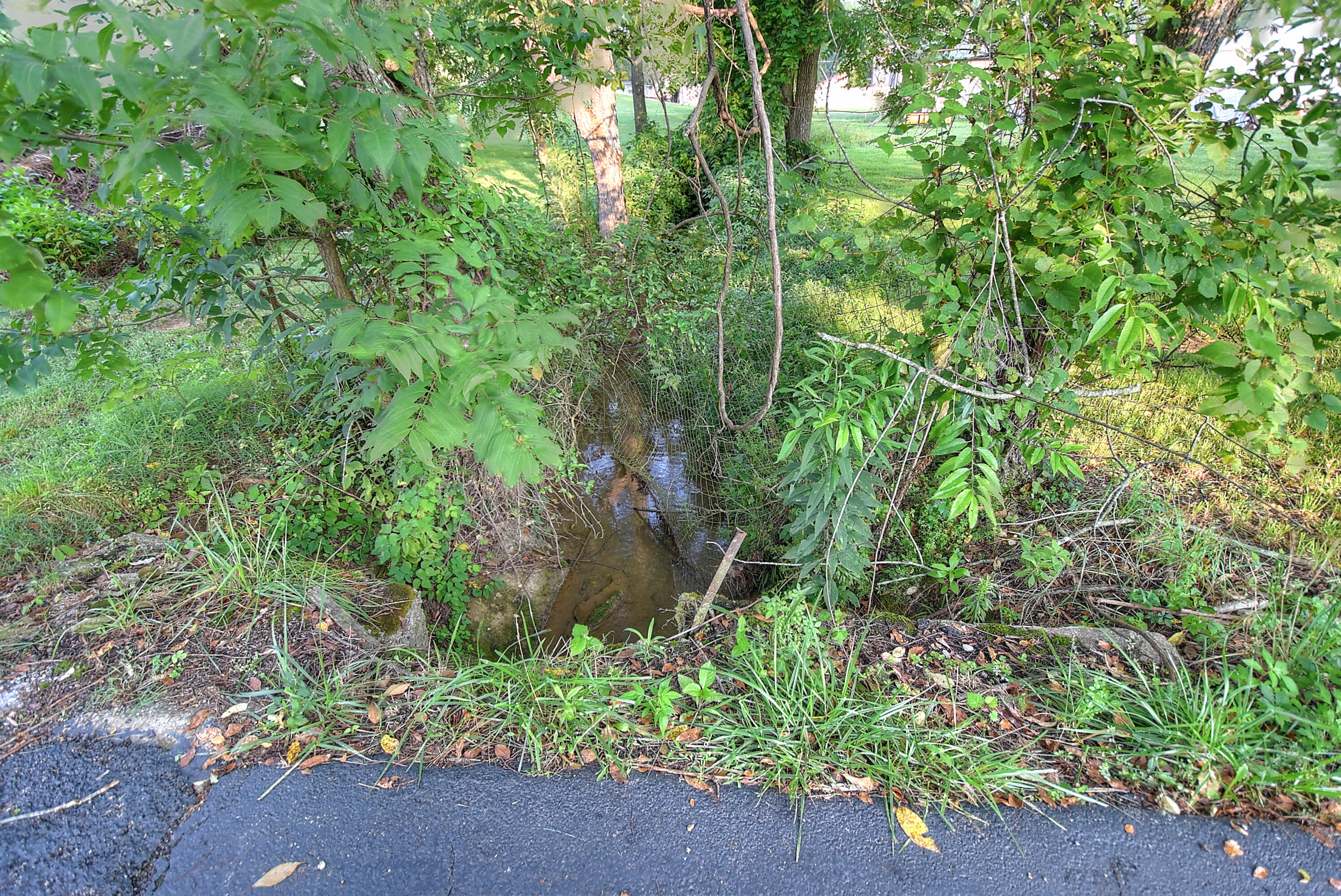 251 Hall Road Jonesborough, TN 37659 - Photo 4 of 41 Small Stream