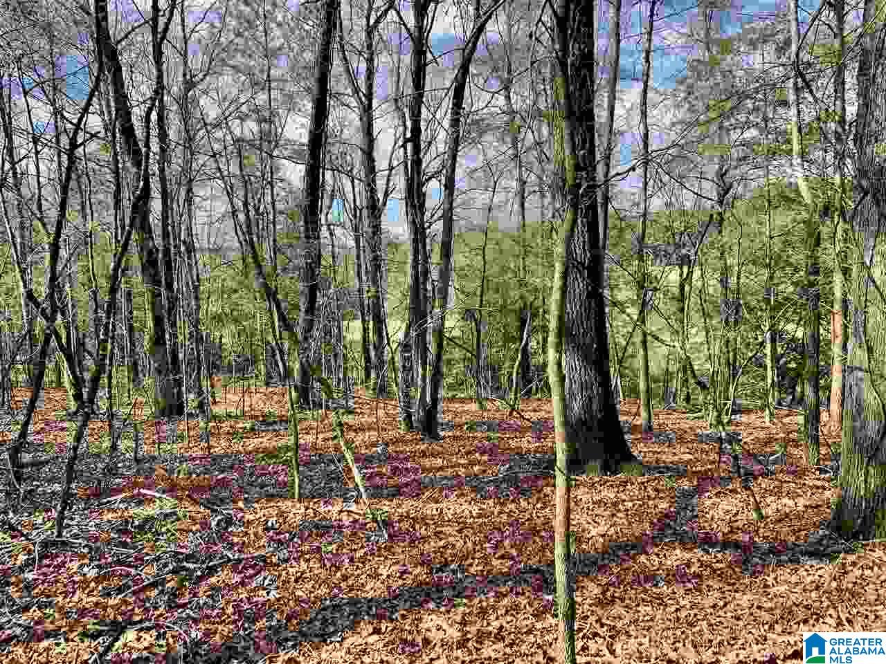0 County Road 16 Calera, AL 35040 - Photo 6 of 22