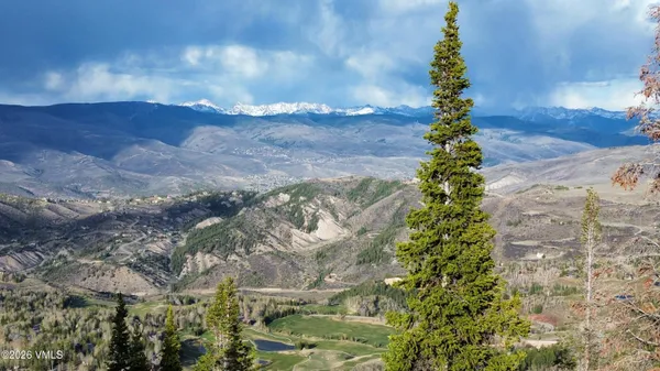a picture of trees