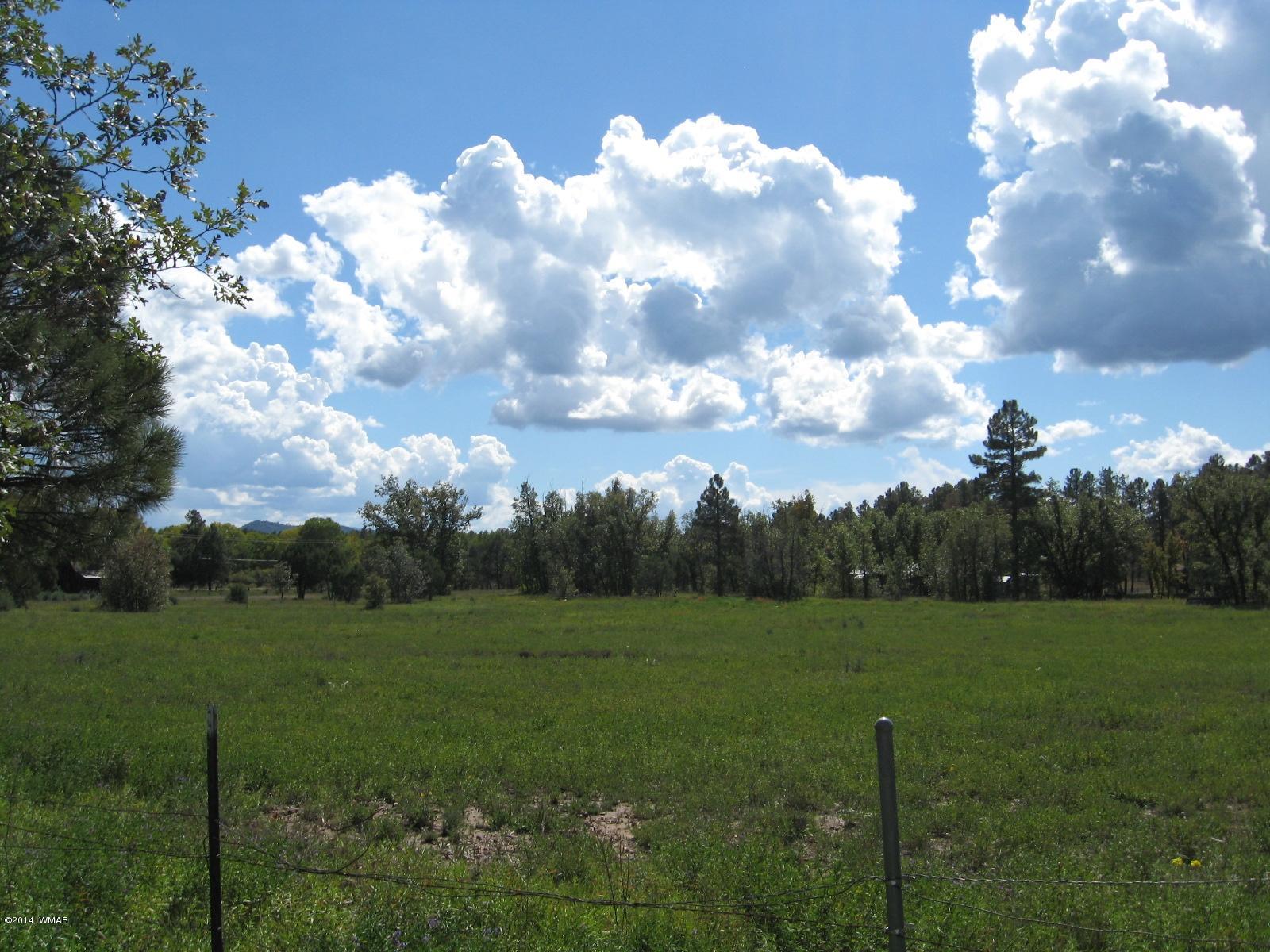 Prcl -013 D Prcl -013 D Larson Road Lakeside, AZ 85929 - Photo 3 of 3