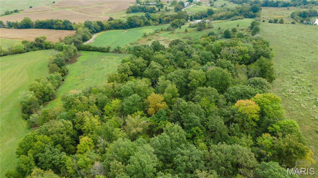 335 West Spring Valley Lane Jackson, MO 63755 - Photo 16 of 36