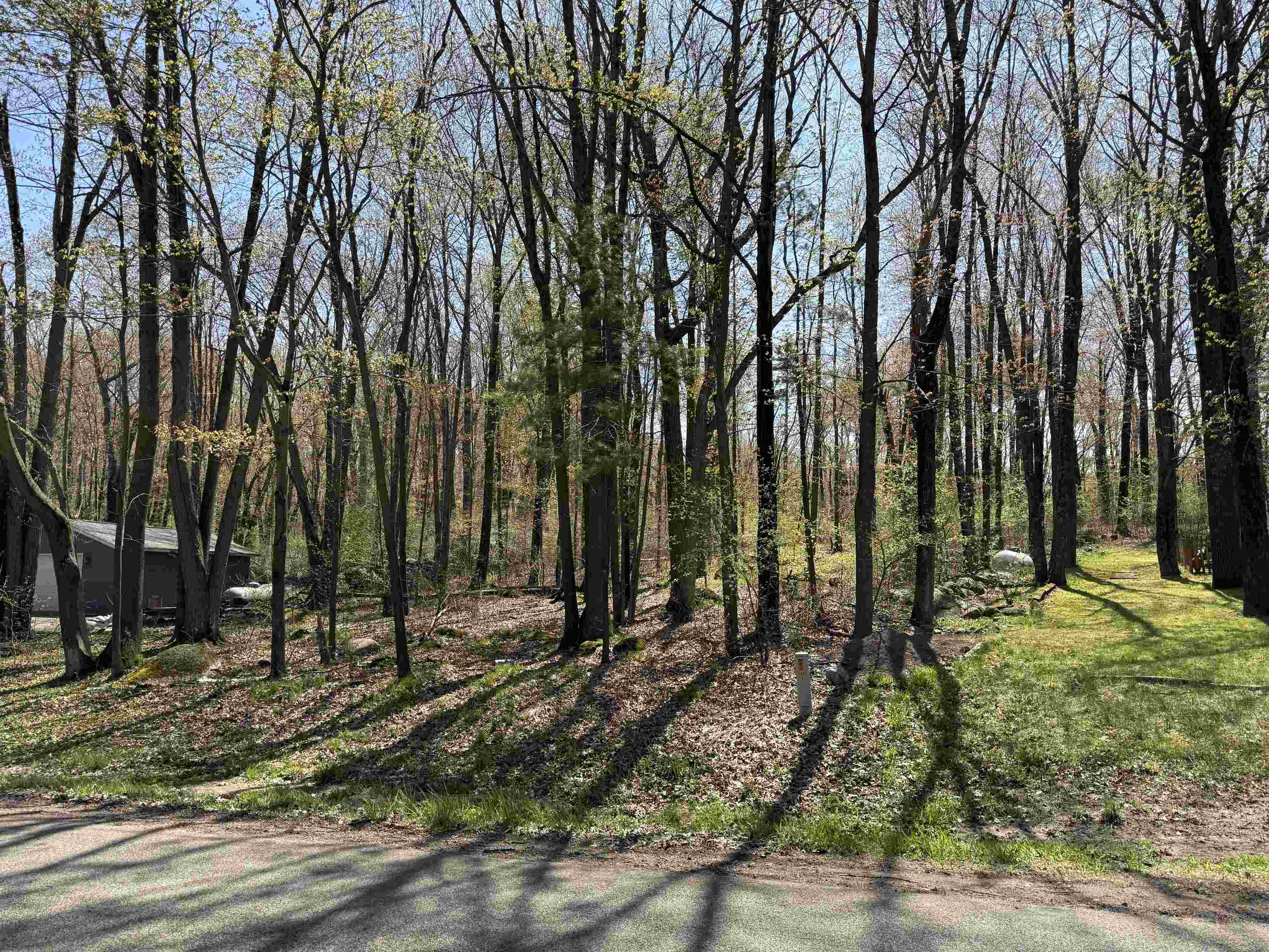 Lot 1 County Rd G Iola, WI 54945 - Photo 1 of 9