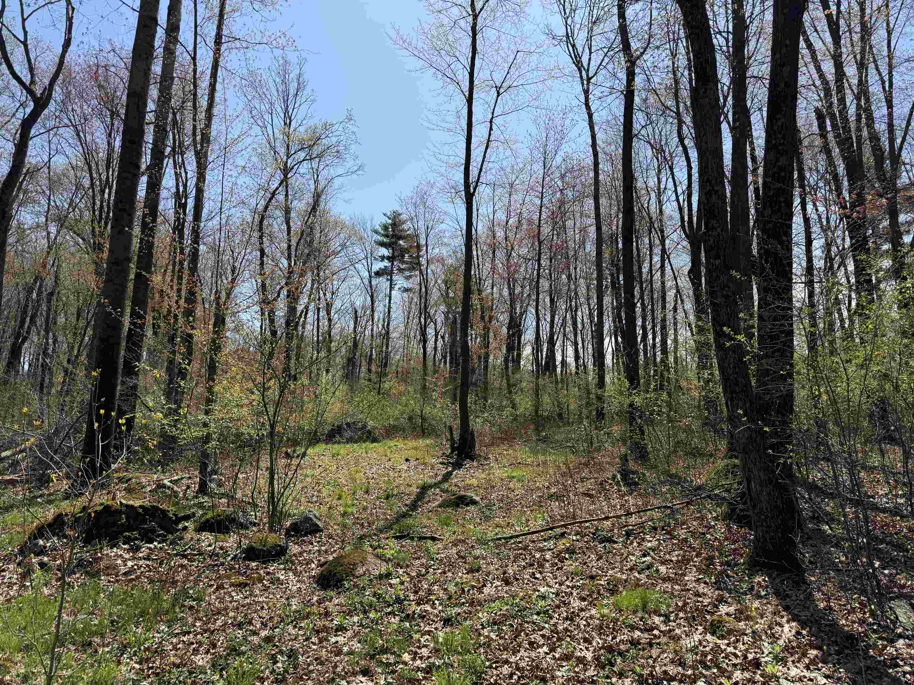 Lot 1 County Rd G Iola, WI 54945 - Photo 2 of 9
