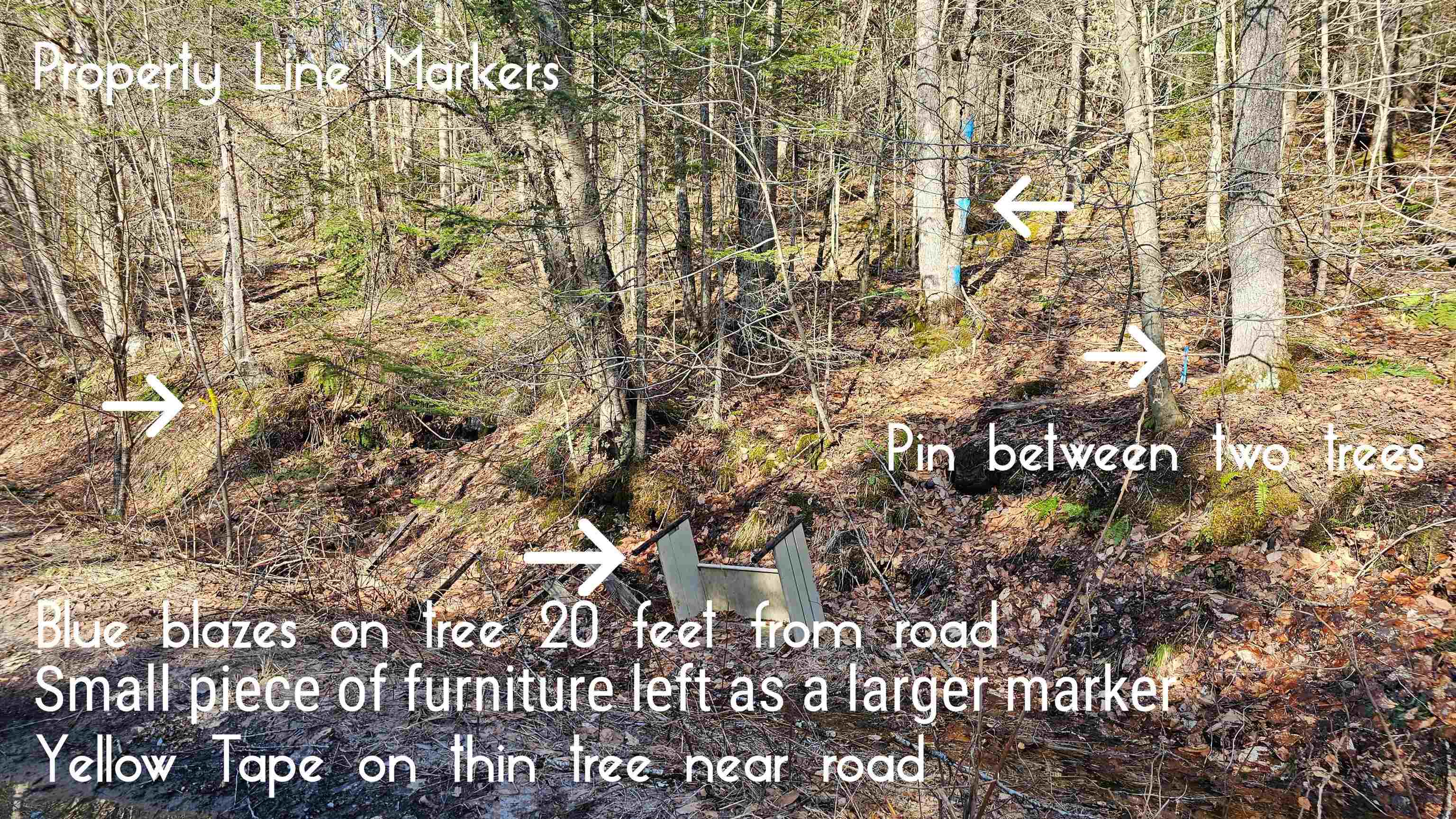 512 Woodbury Mountain Road Calais, VT 05648 - Photo 59 of 59