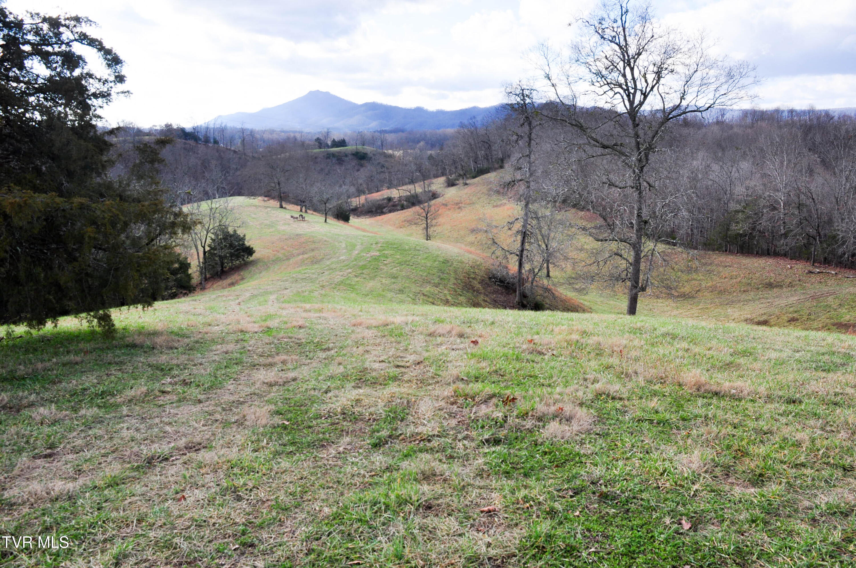 760 Church Road Fall Branch, TN 37656 - Photo 35 of 43 DSC_5696