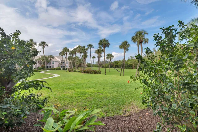 a view of a park with large trees