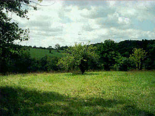 0 Rt 32 Georgetown, KY 40324 - Photo 1 of 1 Photo 1