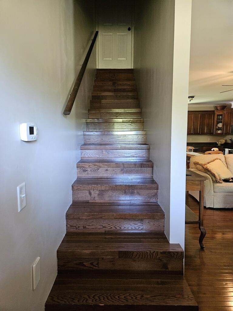 45820 Phillipsville Road Bay Minette, AL 36507 - Photo 11 of 15 Stairs