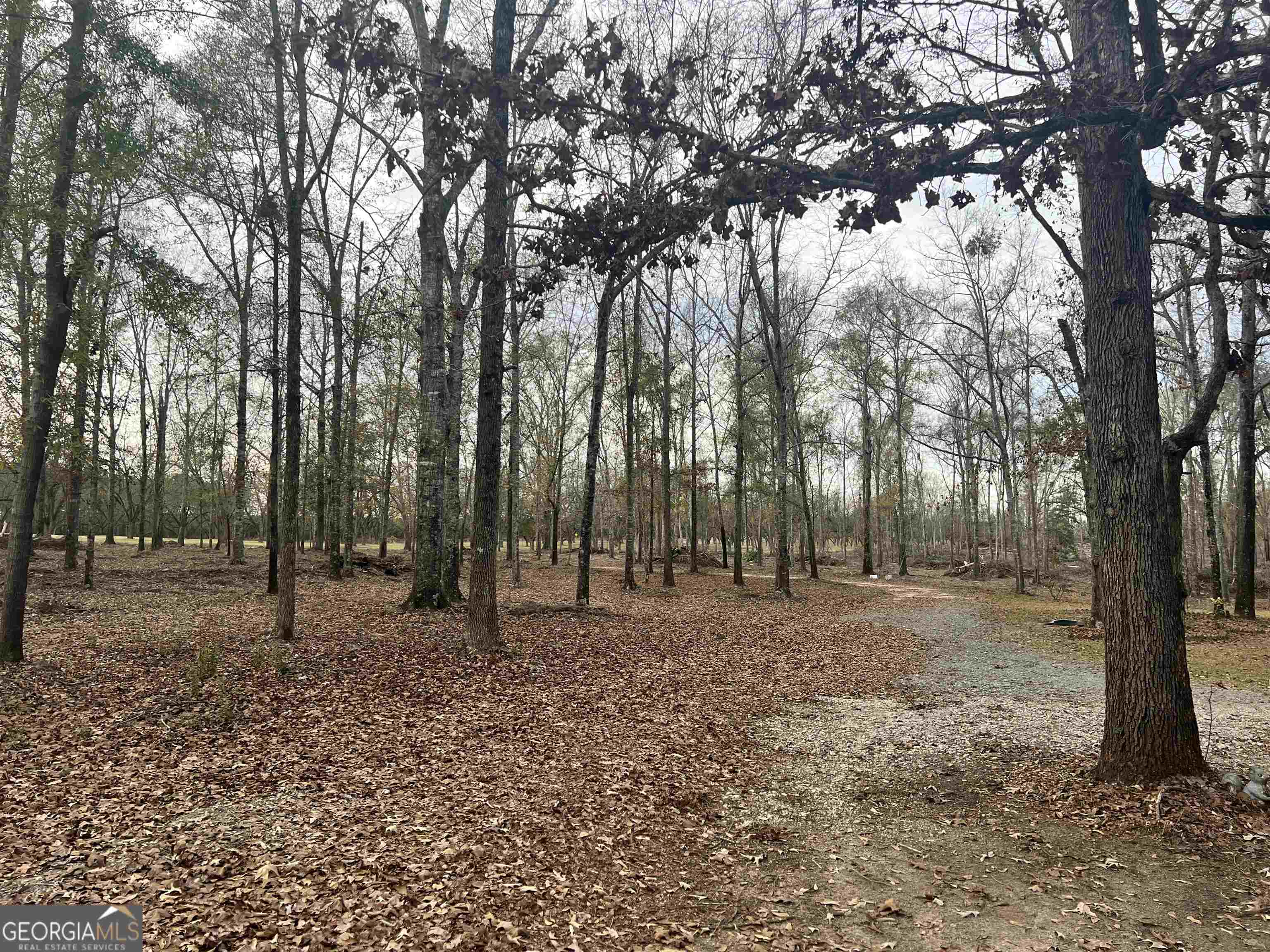2382 Gallimore Mill Road Jeffersonville, GA 31044 - Photo 100 of 122