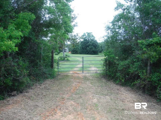 9175 County Road 99 Lillian, AL 36549 - Photo 5 of 50