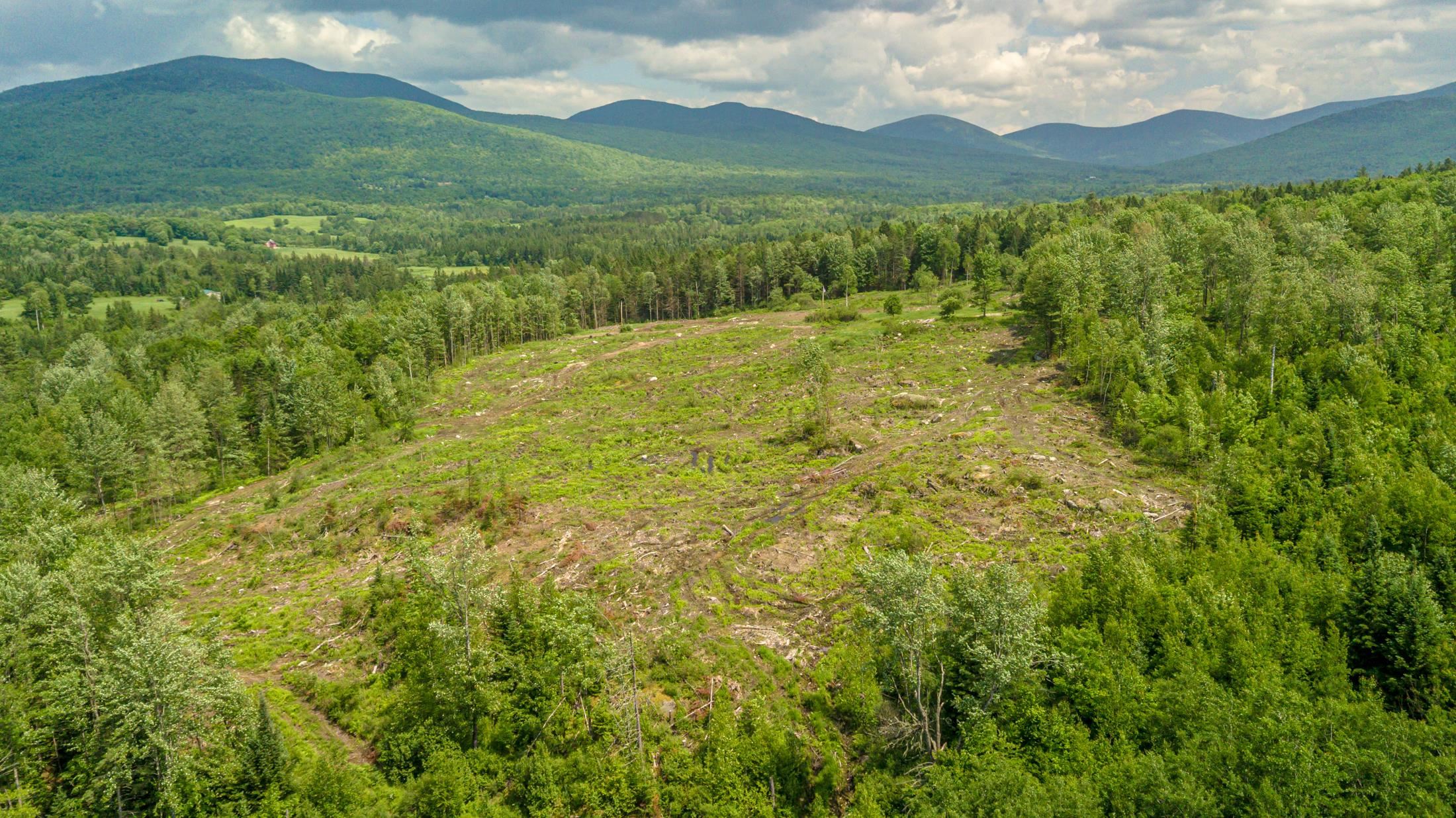 53 Pleasant Valley Road Lancaster, NH 03584 - Photo 13 of 29