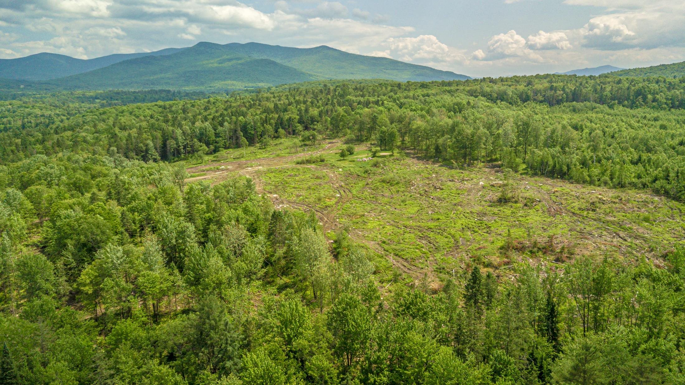 53 Pleasant Valley Road Lancaster, NH 03584 - Photo 15 of 29