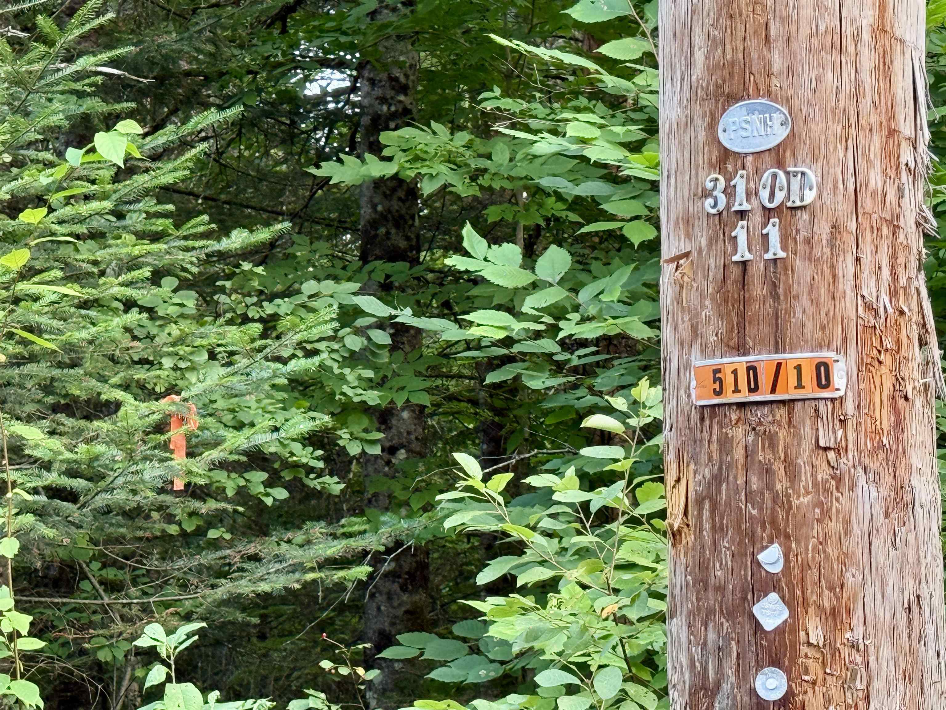 53 Pleasant Valley Road Lancaster, NH 03584 - Photo 6 of 29