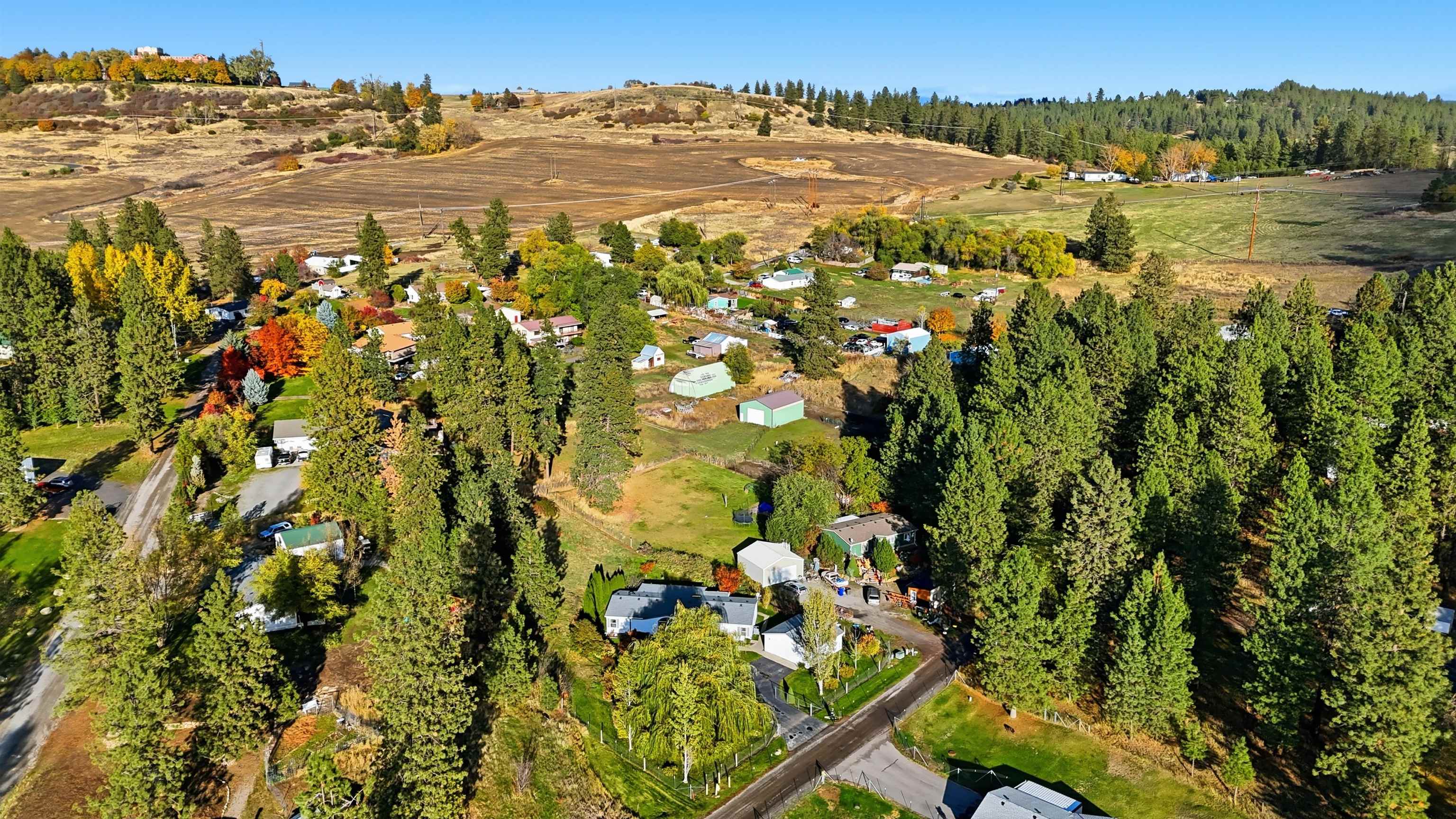 4325 East Jean Avenue Spokane, WA 99217 - Photo 34 of 37