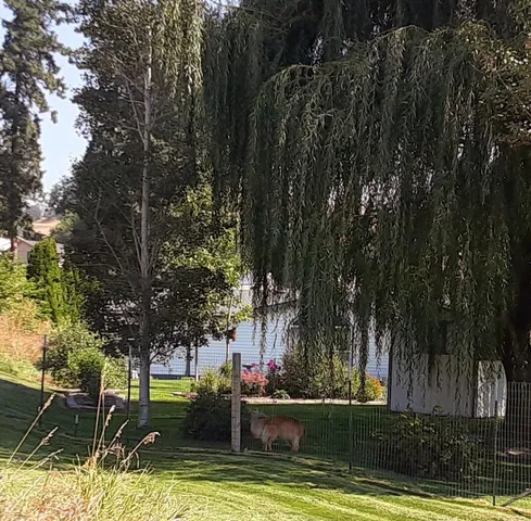 $424,990 | 4325 East Jean Avenue, Spokane, WA 99217