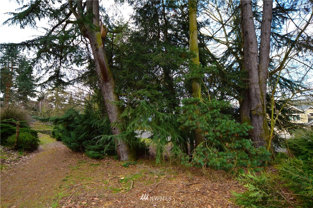 1405 North 26th Street Renton, WA 98056 - Photo 16 of 25