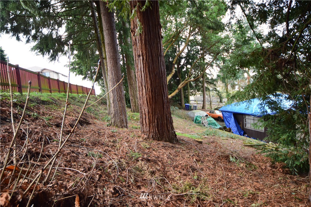 1405 North 26th Street Renton, WA 98056 - Photo 9 of 25