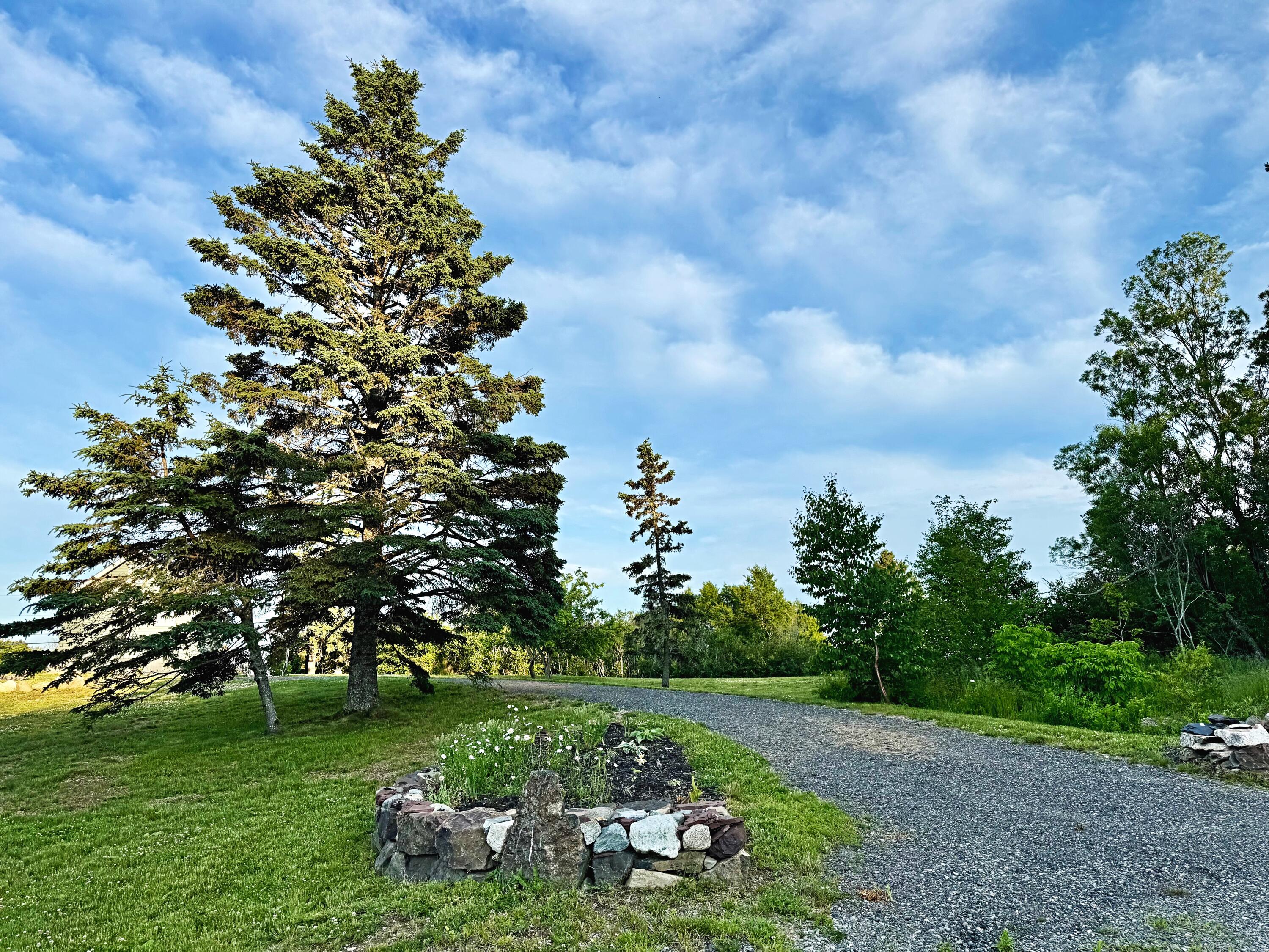 6 Cecelias Way Lubec, ME 04652 - Photo 44 of 64 IMG_0915