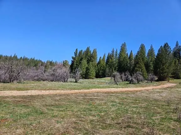 a view of a field with trees in background