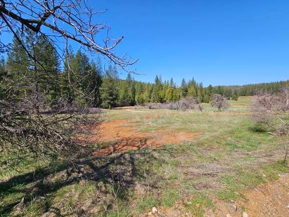 3 Indian Diggins Road Somerset, CA 95684 - Photo 4 of 12 a view of an outdoor space with mountain view