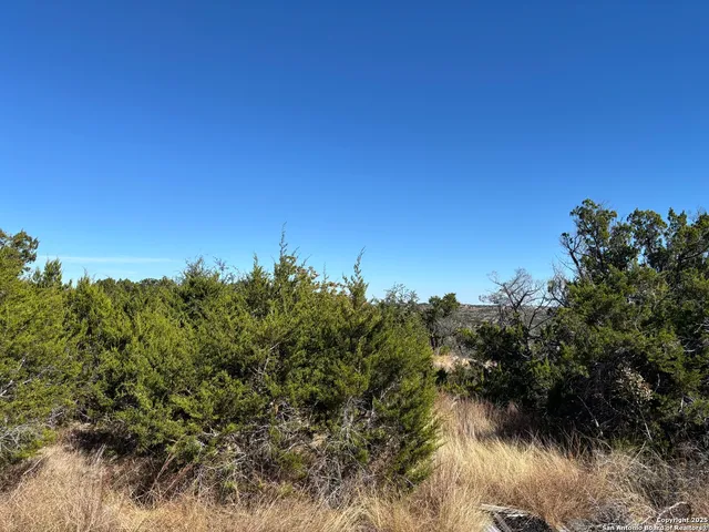 a view of a lake with a tree in a background