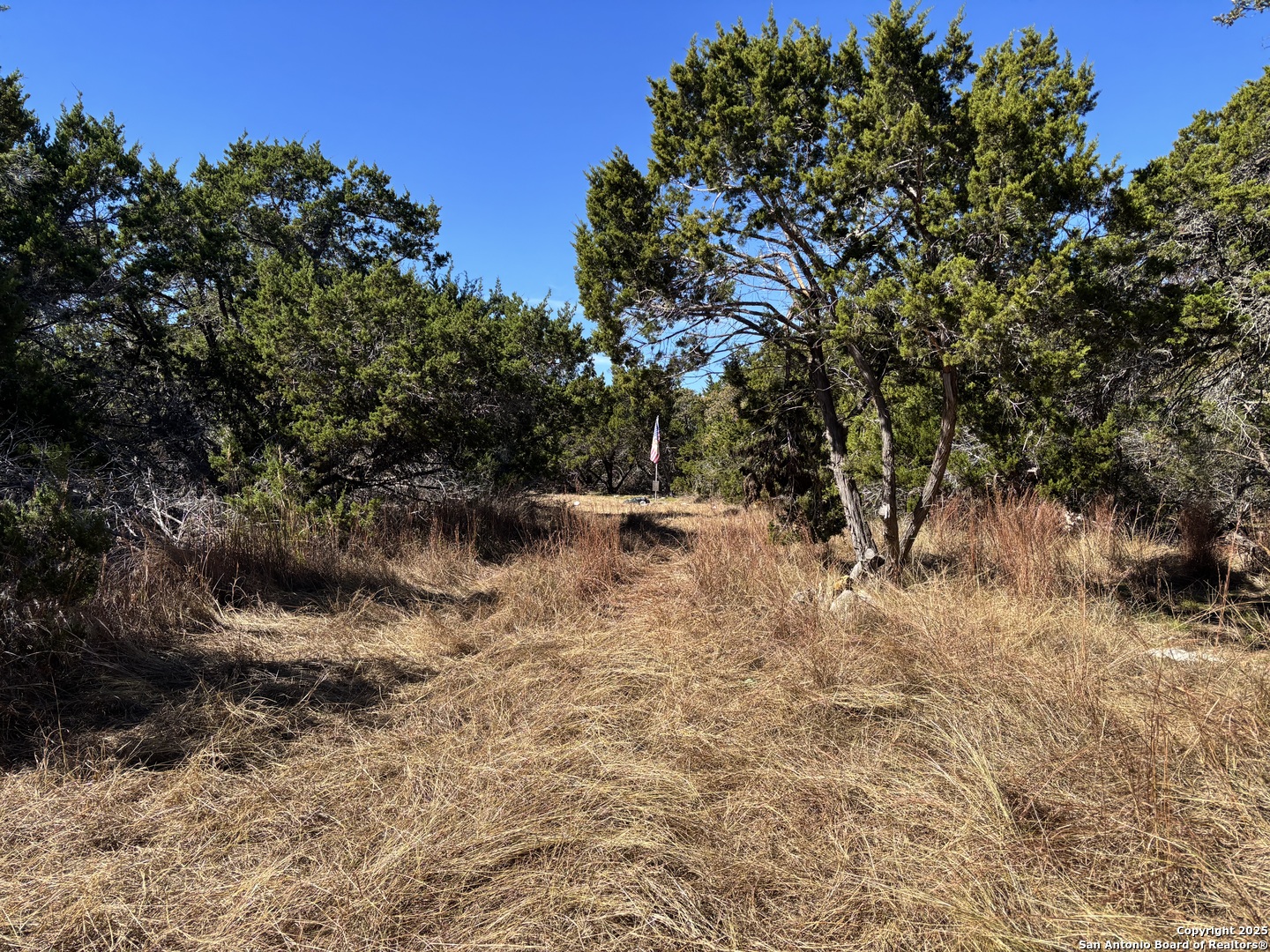 Lot 86 Headwaters Ranch Road Kendalia, TX 78027 - Photo 12 of 32