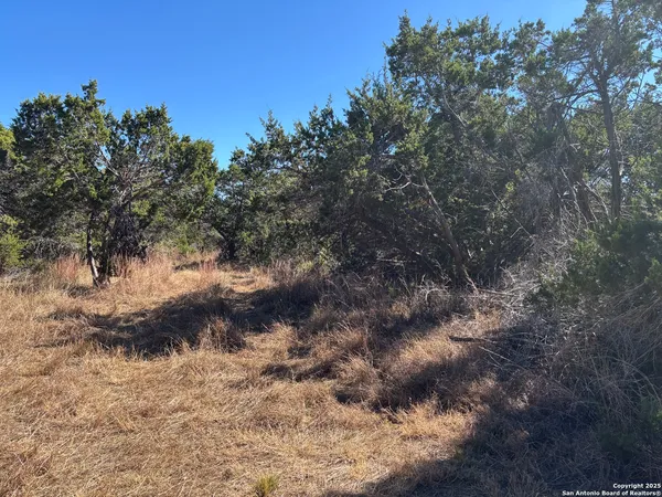 $162,900 | Lot 86 Headwaters Ranch Road, Kendalia, TX 78027