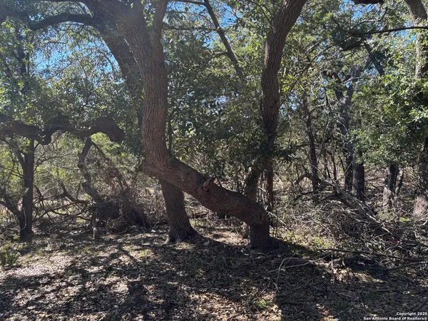 $162,900 | Lot 86 Headwaters Ranch Road, Kendalia, TX 78027