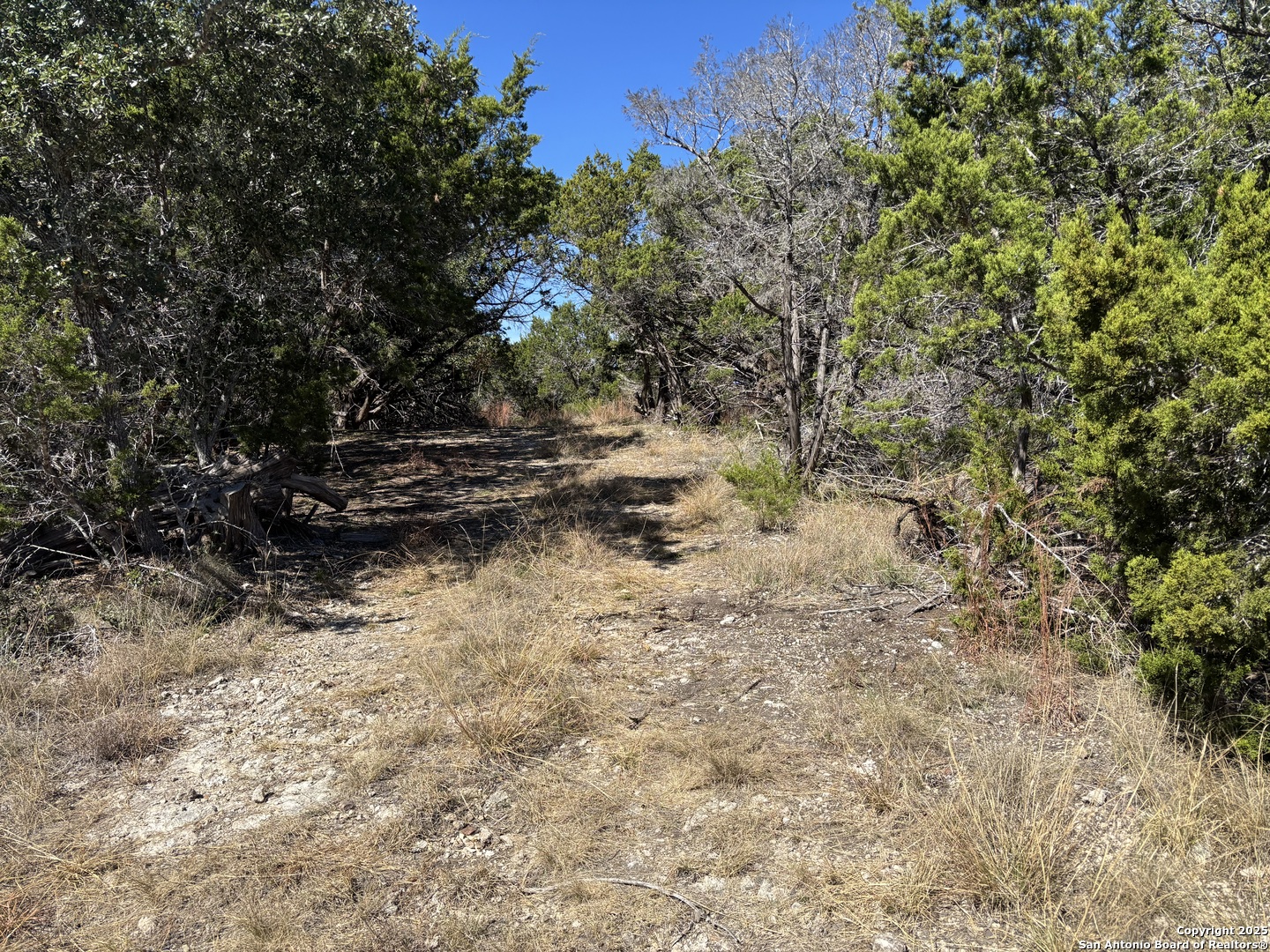 Lot 86 Headwaters Ranch Road Kendalia, TX 78027 - Photo 8 of 32
