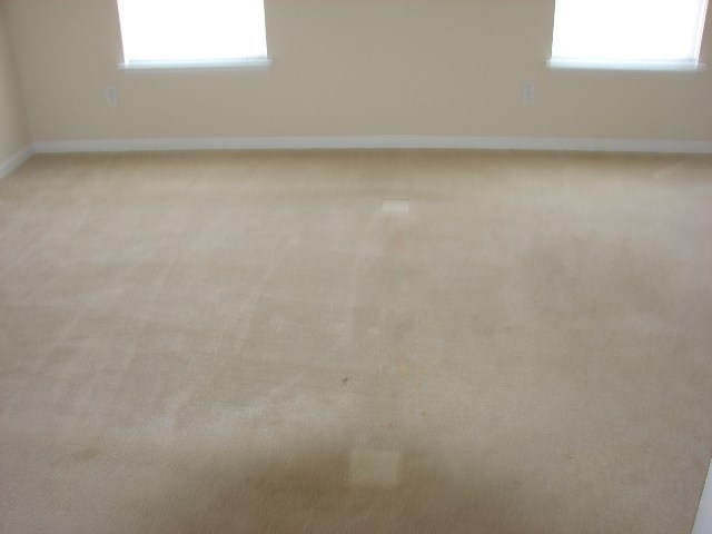 204 Ridgebrook Way Greenville, SC 29605 - Photo 8 of 13 Gallery Image 8
