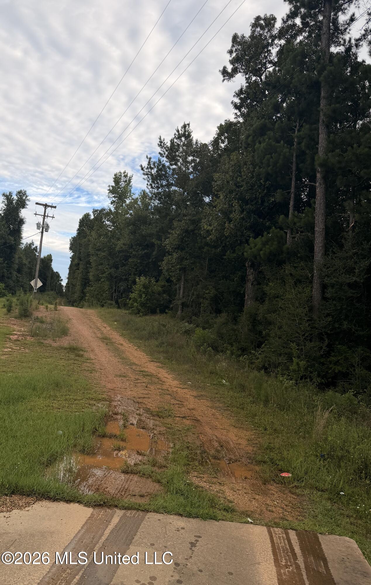 0 Candy Lane McComb, MS 39648 - Photo 5 of 11 IMG_4563