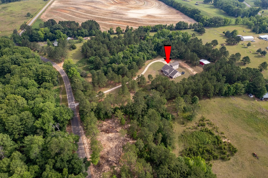 240 Cedar Springs Road Ashford, AL 36312 - Photo 8 of 71