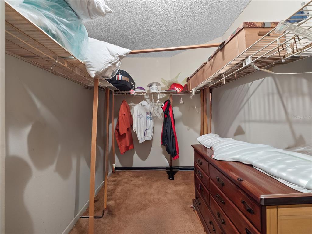 6604 Mt Plymouth Road Apopka, FL 32712 - Photo 14 of 31 a view of walk in closet with clothes