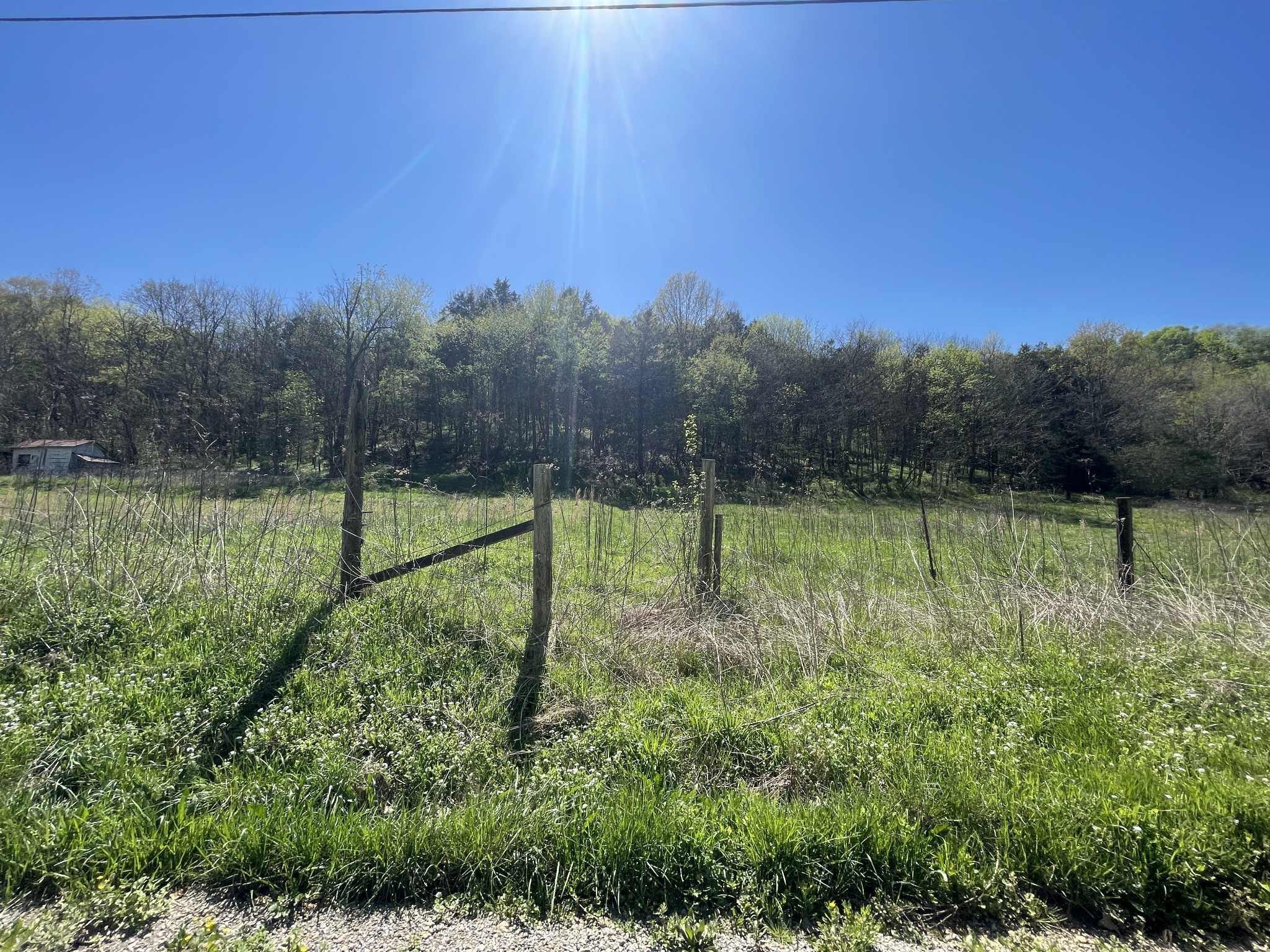 59 Scanty Branch Road Dixon Springs, TN 37057 - Photo 11 of 21